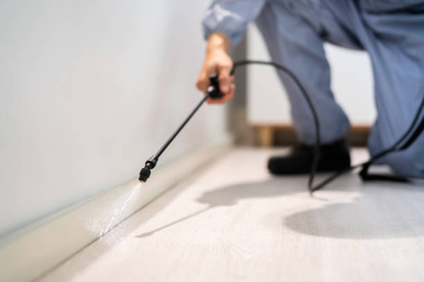 Bed Bug Pre-Treatment Preparation Assessment in Vincent