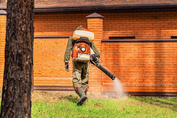 Bed Bug Clearance Verification and Documentation in Vincent